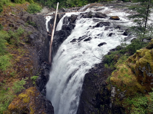 Englishman River Waterfall Provincial Park - BC Parks