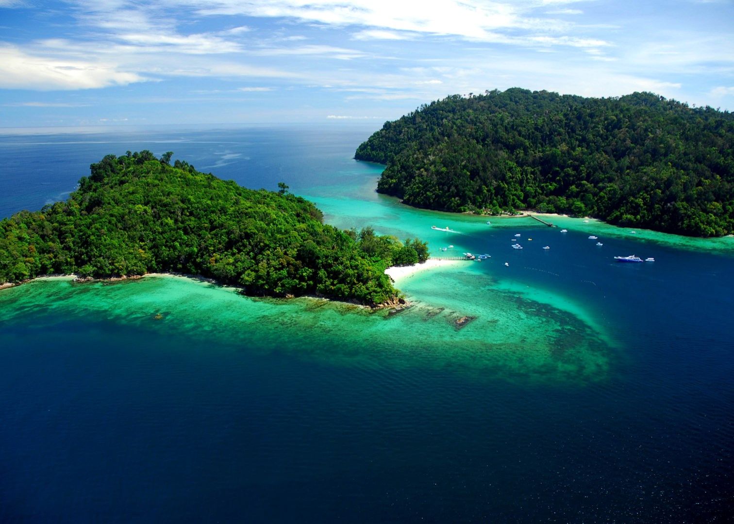 Walk Above A Rainforest Travel To Borneo Island   Audleytravel Borneo.com  