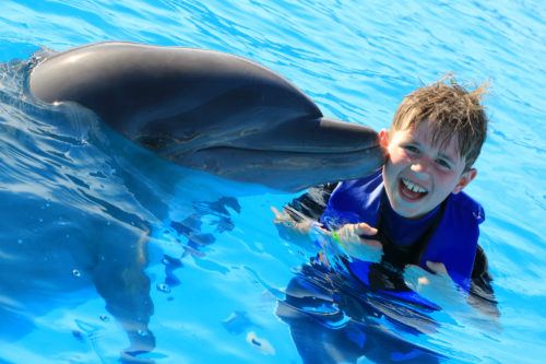 Swimming With Dolphins In Cabo And Making Dreams Come True! - Traveling ...