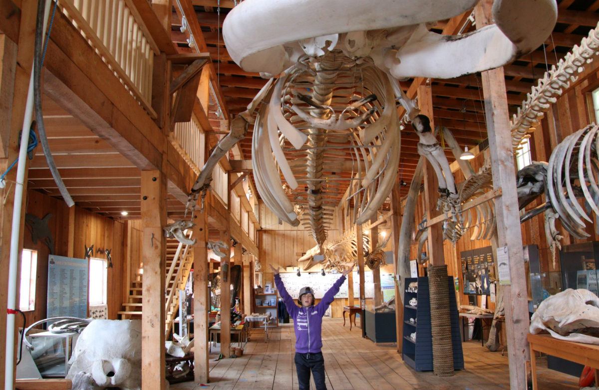 Come Visit Telegraph Cove on Vancouver Island - Traveling Islanders