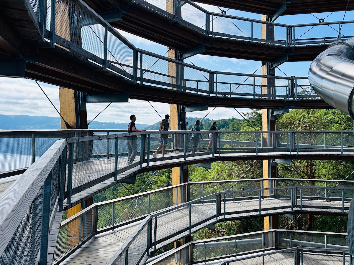 Sky-High Fun and Stunning Views: Discover the Malahat Skywalk ...