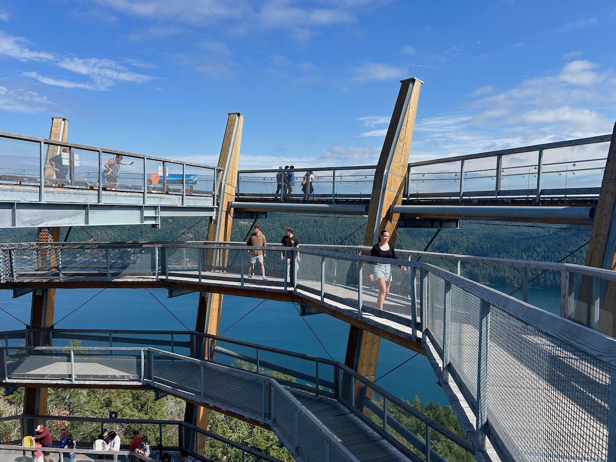 Sky-High Fun and Stunning Views: Discover the Malahat Skywalk ...